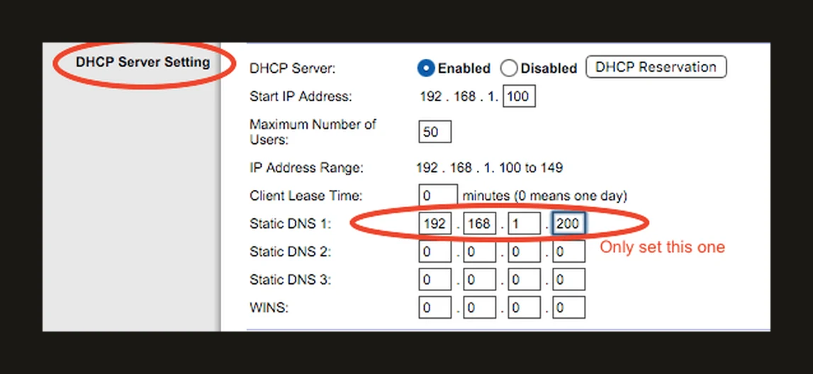 DHCP-instellingen van een router met het IP-adres van Pi-hole ingevuld bij Static DNS 1, de overige DNS-velden leeg gelaten