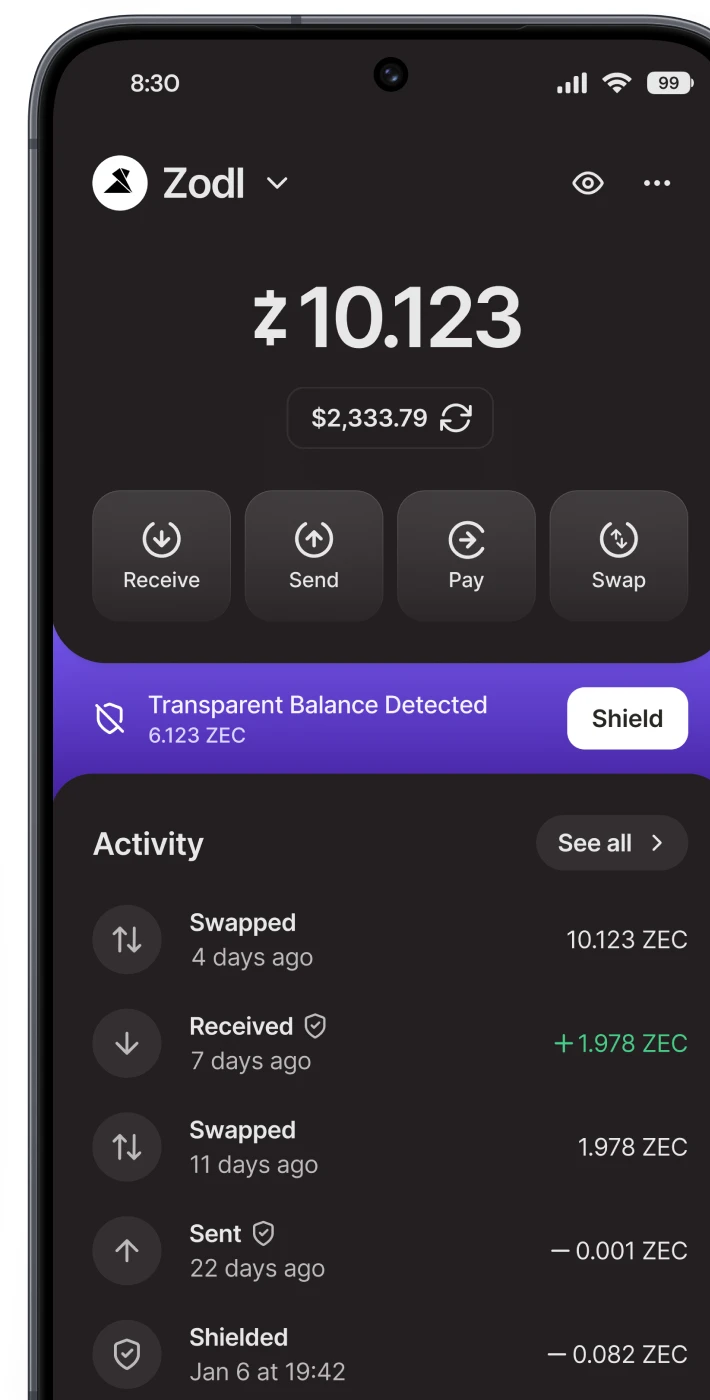 Zodl's hoofdscherm met een melding dat er een transparant saldo gedetecteerd is en een knop om dat te shielden